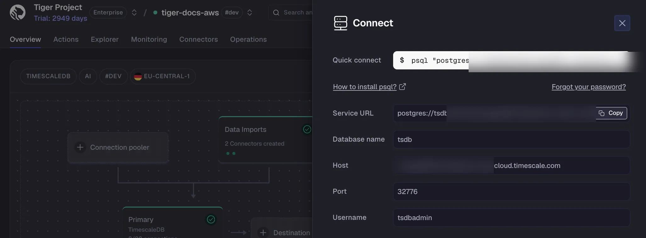 Service connection details in Tiger Console